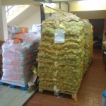 Osijek - ožujak (17)